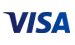 Visa at Golden Genie Casino